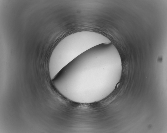 X0000090750280200708172033