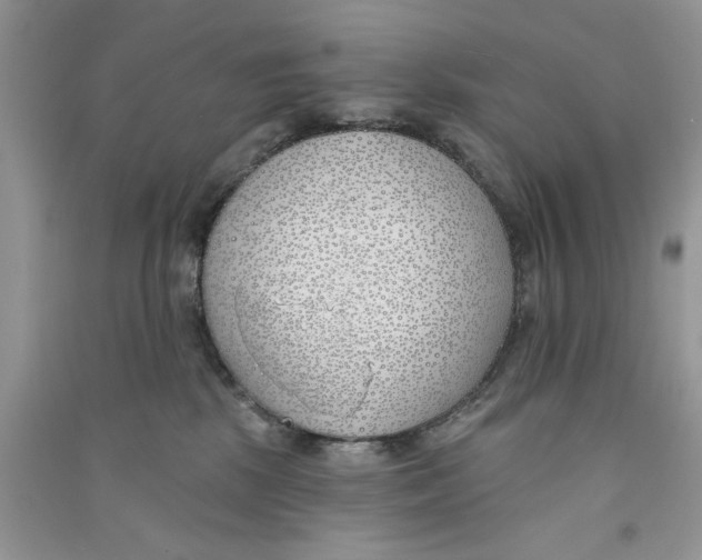 X0000090750281200708172033