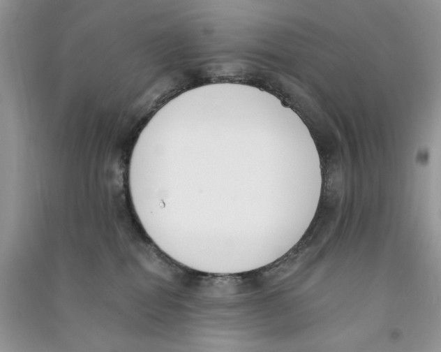 X0000090750282200708172033
