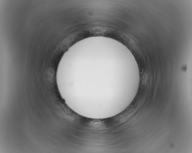 X0000090750283200708172033