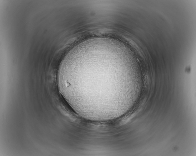 X0000090750284200708172033