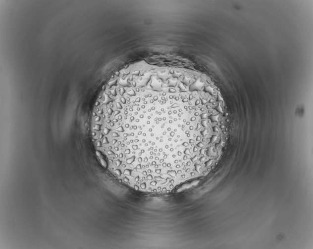 X0000090750285200708172033