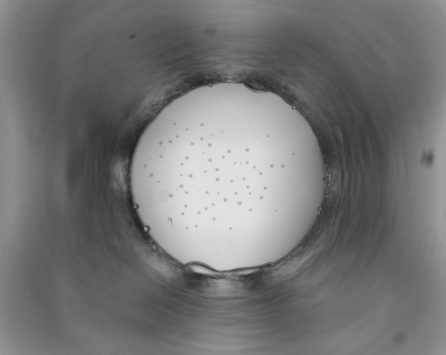 X0000090750286200708172033