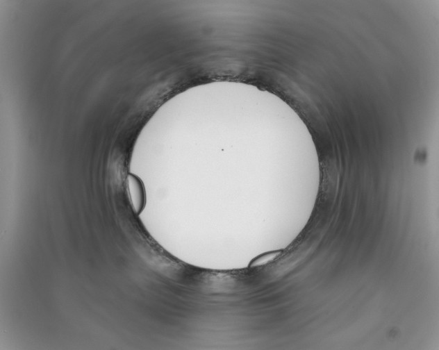 X0000090750287200708172033