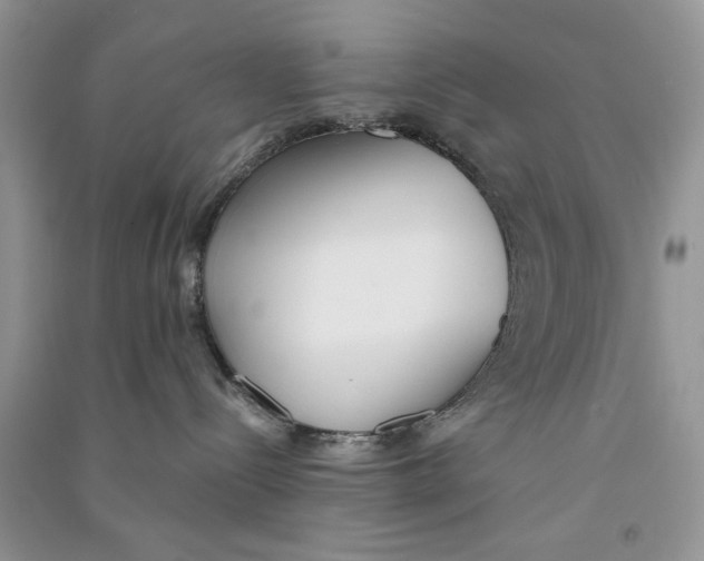X0000090750288200708172033
