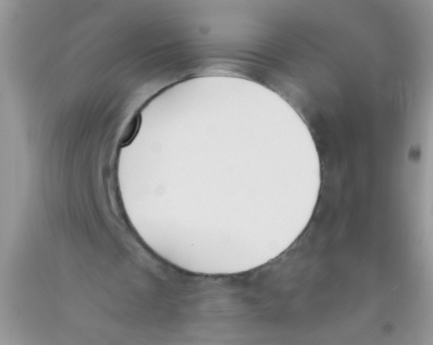 X0000090750289200708172033