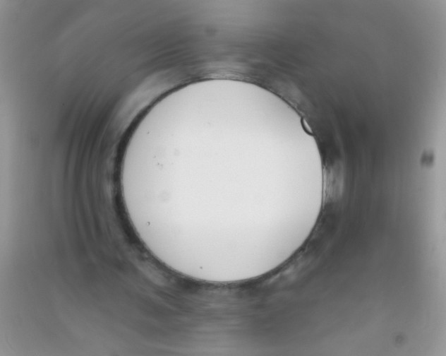 X0000090750291200708172033