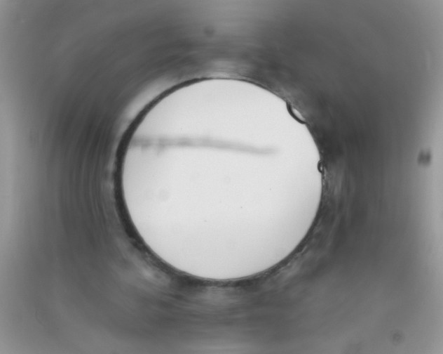 X0000090750292200708172033