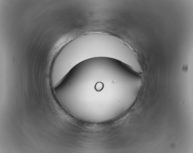 X0000090750293200708172033
