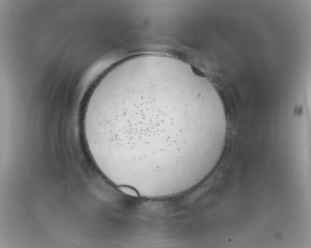 X0000090750294200708172033