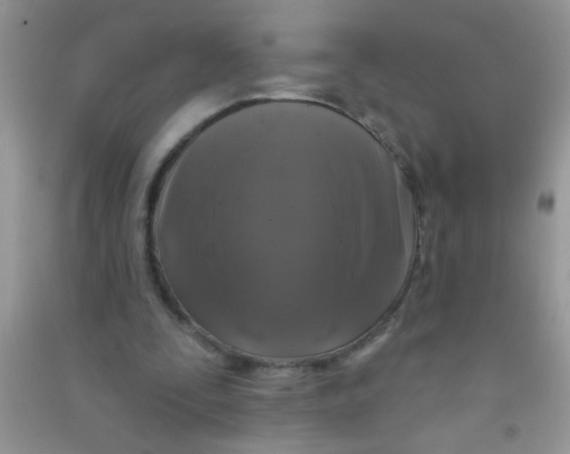 X0000090750295200708172033