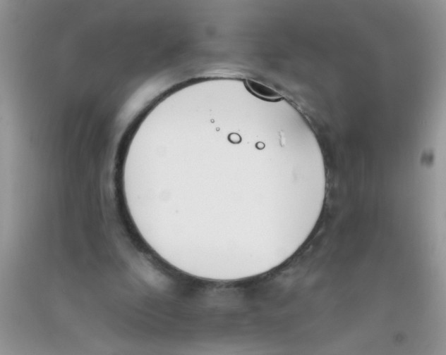 X0000090750296200708172033