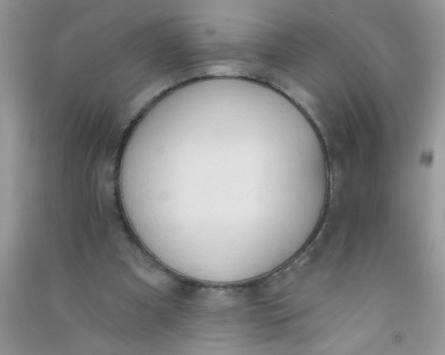 X0000090750297200708172033