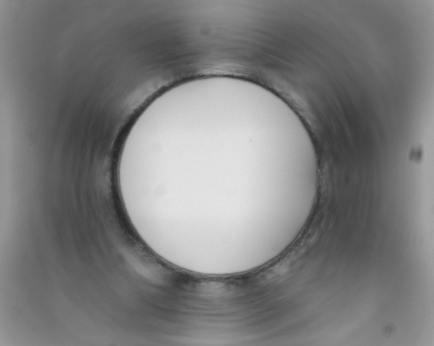 X0000090750298200708172033
