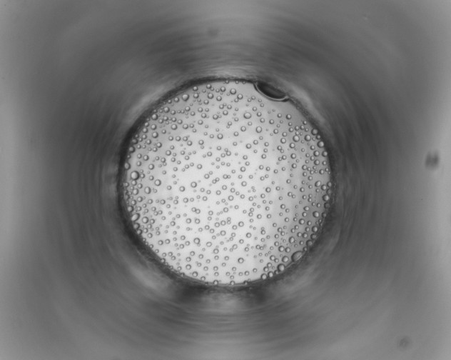 X0000090750299200708172033
