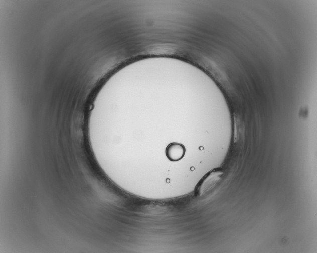 X0000090750300200708172033