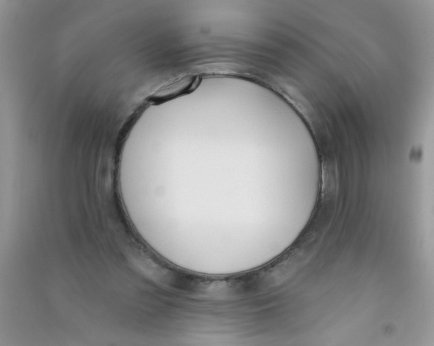 X0000090750301200708172033