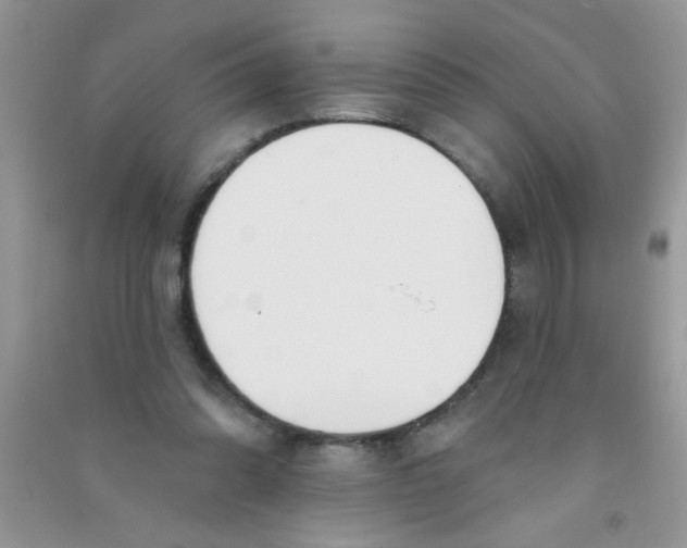 X0000090750302200708172033
