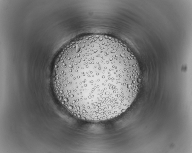 X0000090750303200708172033
