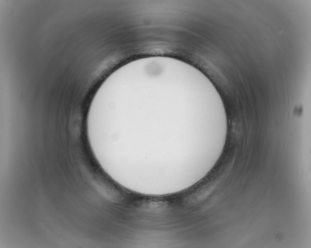 X0000090750304200708172033