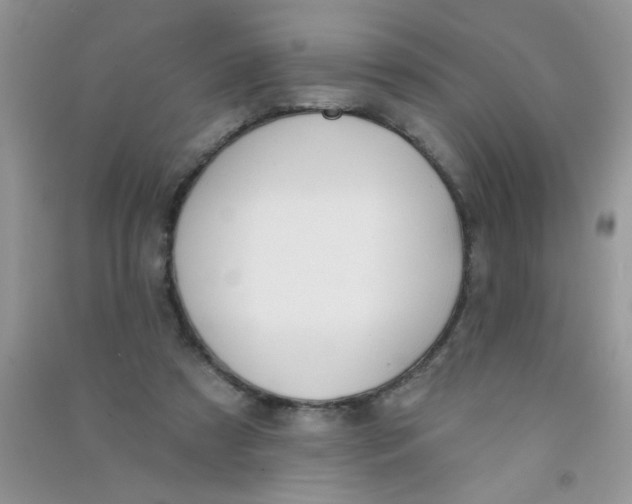 X0000090750305200708172033