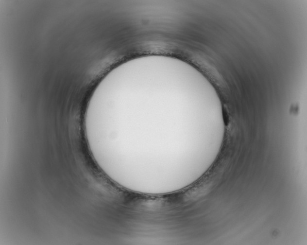 X0000090750306200708172033