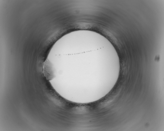 X0000090750307200708172033