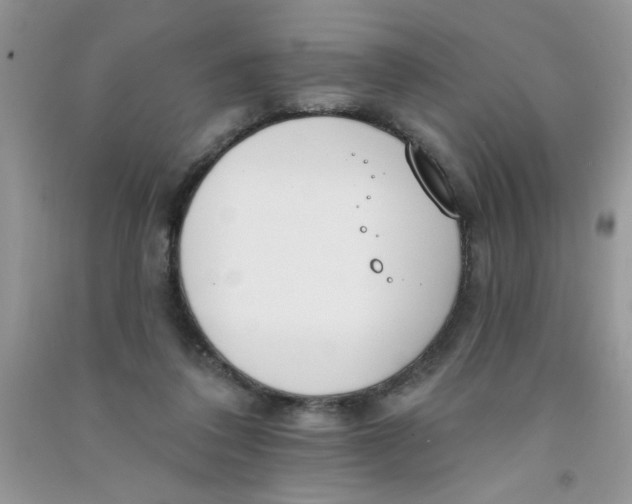 X0000090750308200708172033