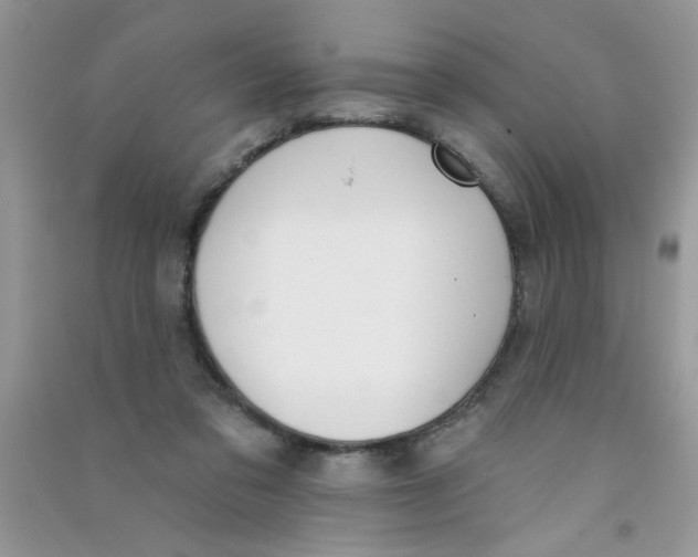 X0000090750309200708172033
