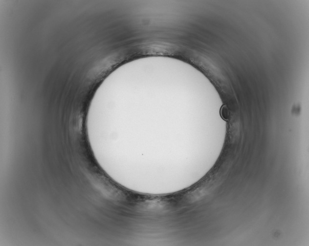 X0000090750310200708172033