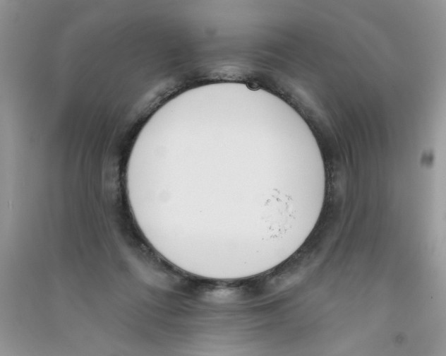 X0000090750312200708172033