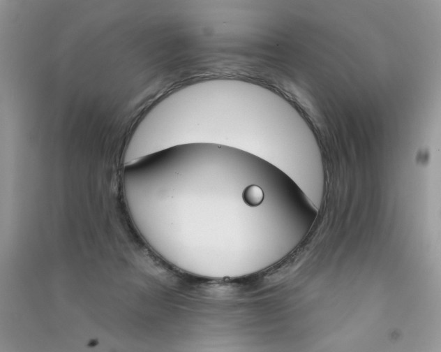 X0000090750313200708172033