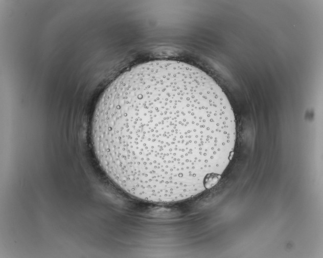 X0000090750315200708172033
