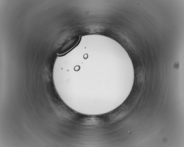 X0000090750316200708172032