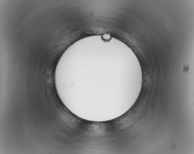 X0000090750317200708172032