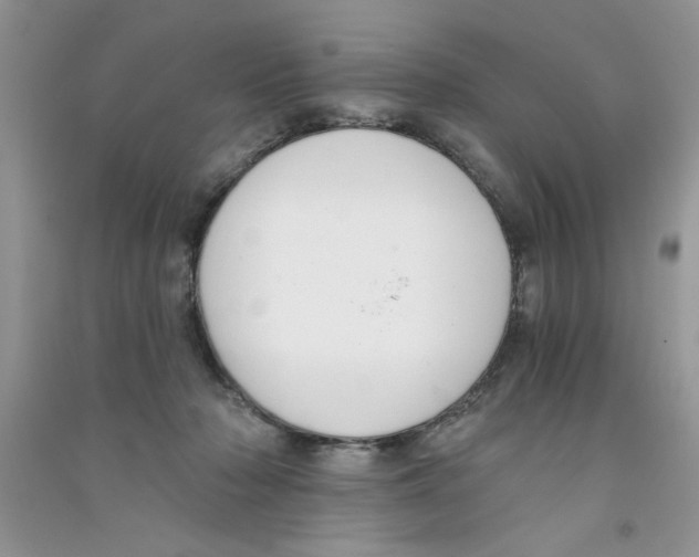 X0000090750318200708172032