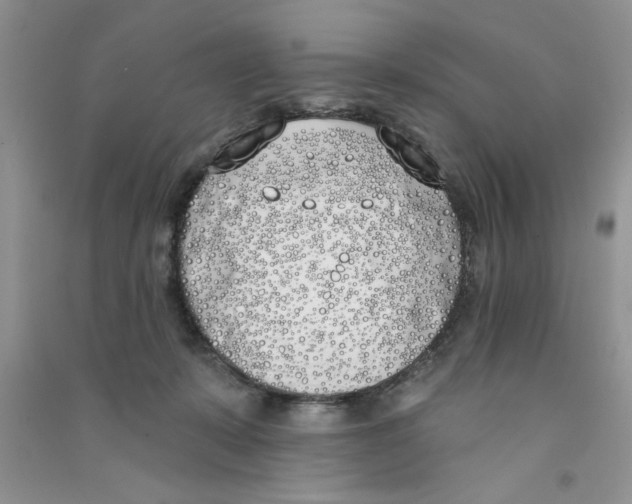 X0000090750319200708172032