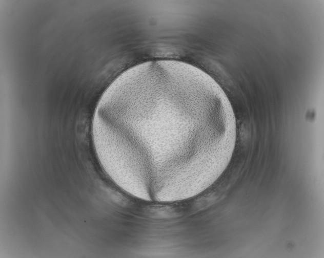 X0000090750322200708172032