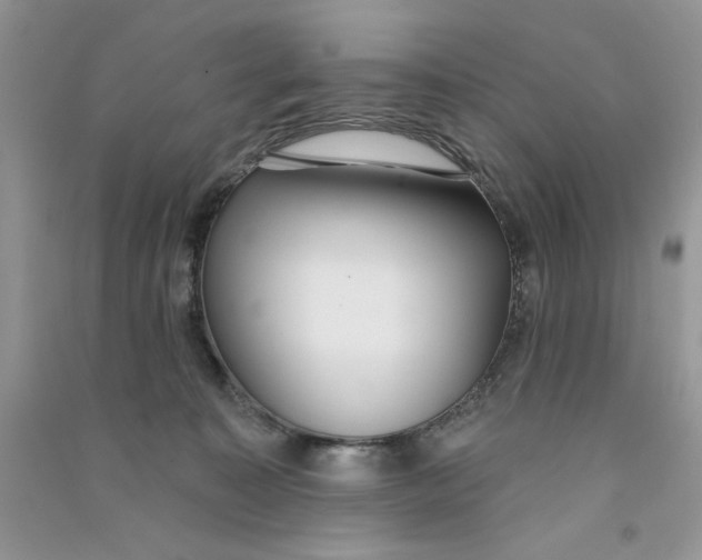 X0000090750323200708172032
