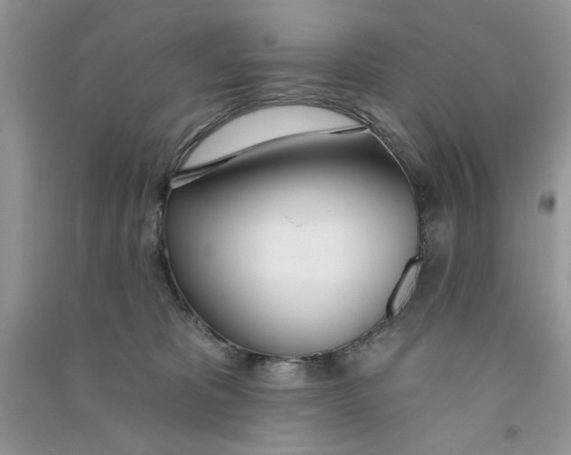 X0000090750325200708172032