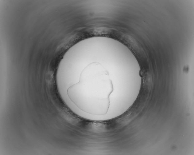 X0000090750327200708172032