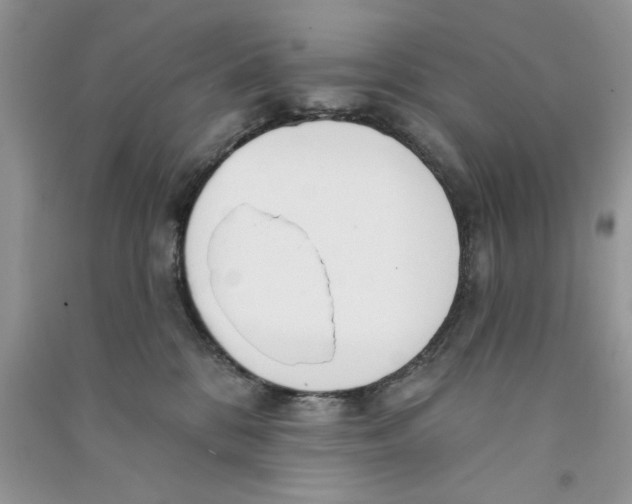 X0000090750328200708172032