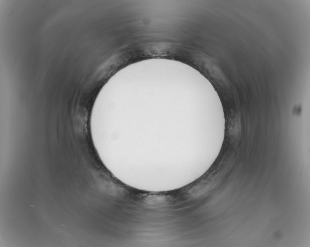 X0000090750332200708172032