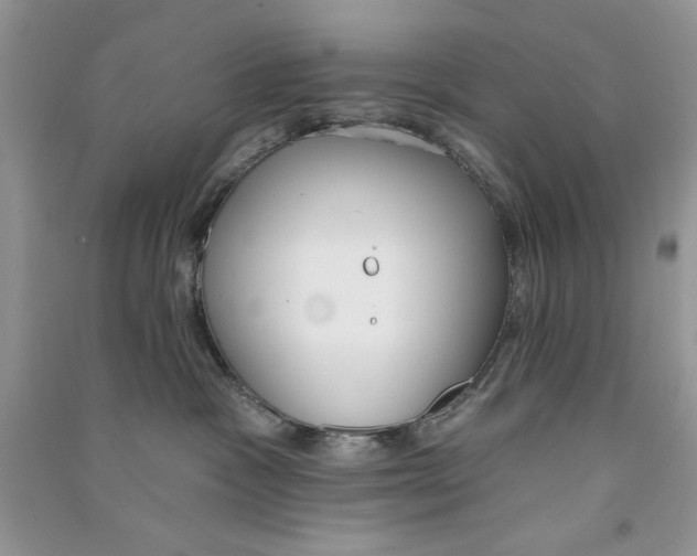 X0000090750333200708172032
