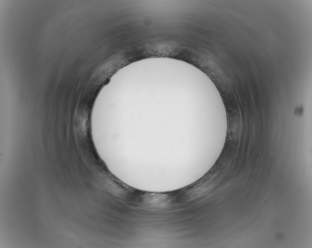 X0000090750334200708172032
