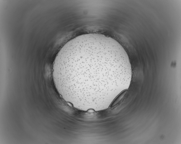 X0000090750335200708172032