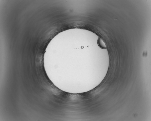 X0000090750336200708172032
