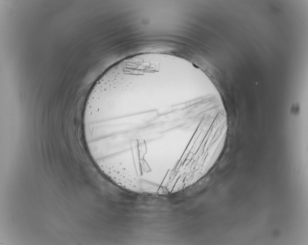 X0000090750337200708172032