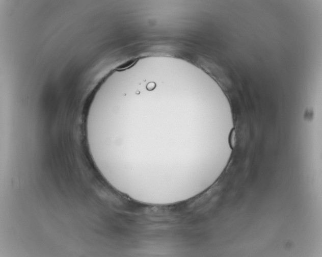 X0000090750338200708172032