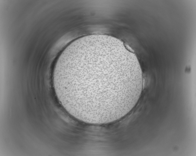 X0000090750339200708172032